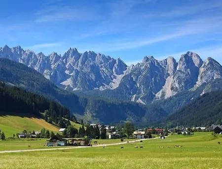 Edelweiss Wimmer Gosau