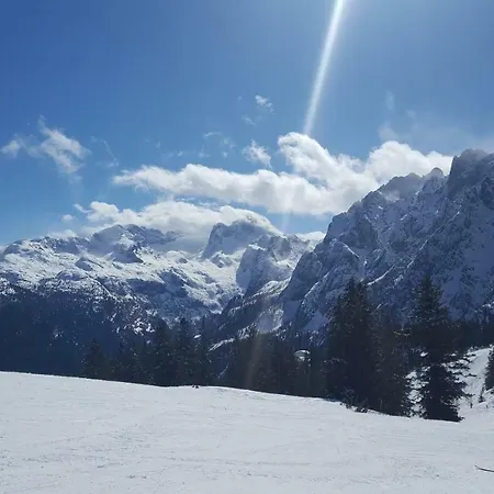 Edelweiss Wimmer Apartment Gosau