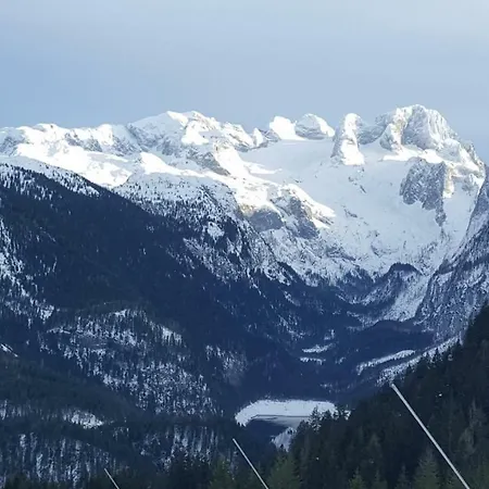 Edelweiss Wimmer Gosau