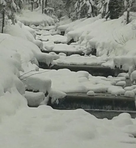 Edelweiss Wimmer Gosau