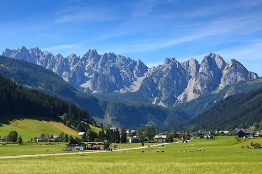 Edelweiss Wimmer Gosau