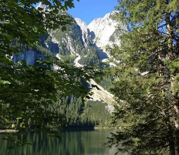 Edelweiss Wimmer Gosau