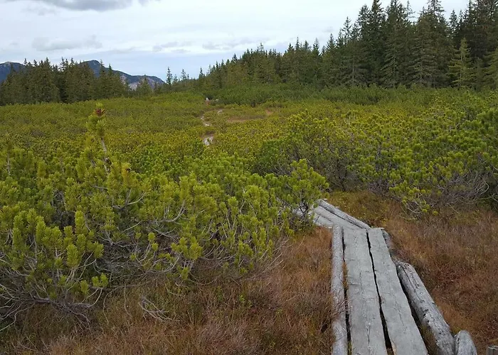 Edelweiss Wimmer Apartman *