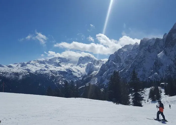 Edelweiss Wimmer Apartman Gosau