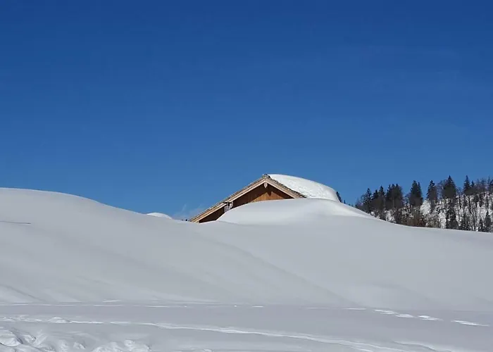 Edelweiss Wimmer * Gosau