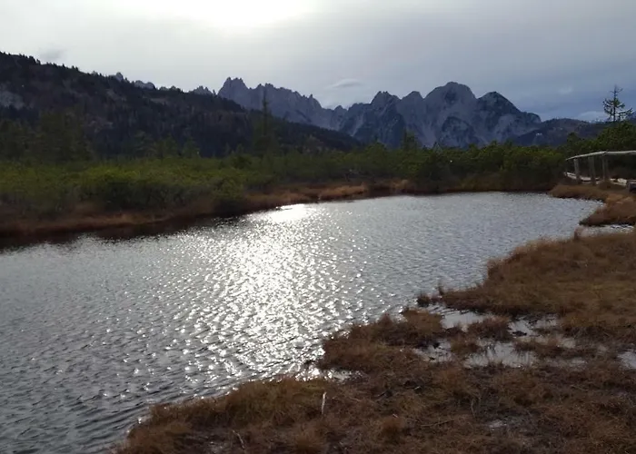 Edelweiss Wimmer Gosau