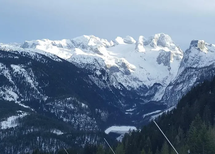 Edelweiss Wimmer Gosau