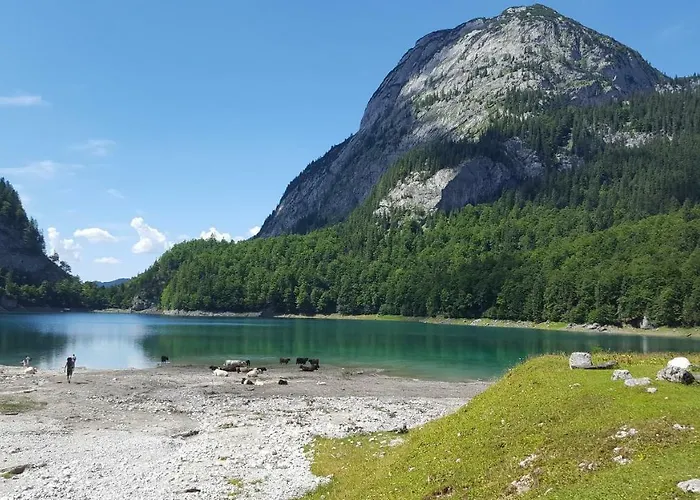 Edelweiss Wimmer Gosau