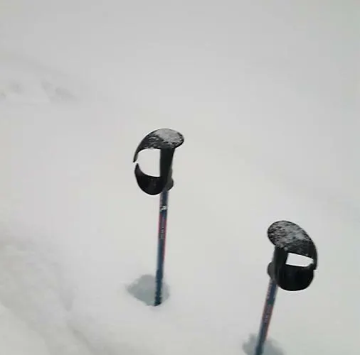 Edelweiss Wimmer * Gosau