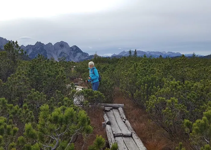 Edelweiss Wimmer Apartamento *