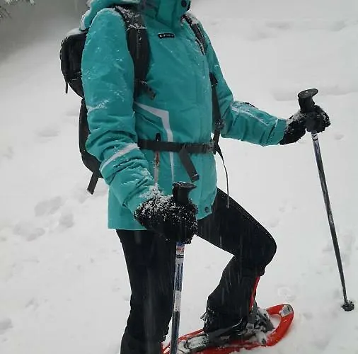 Edelweiss Wimmer Apartman *