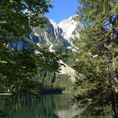 Edelweiss Wimmer 格绍