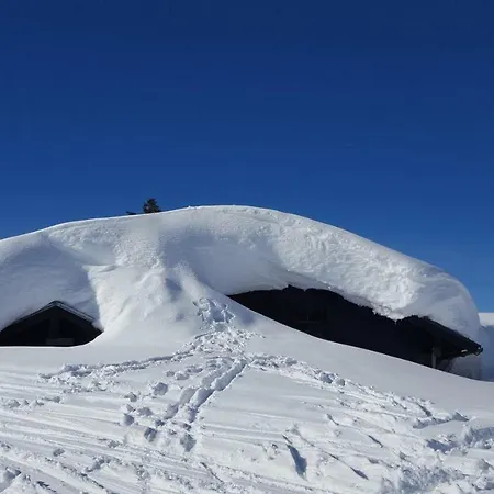 公寓 Edelweiss Wimmer *