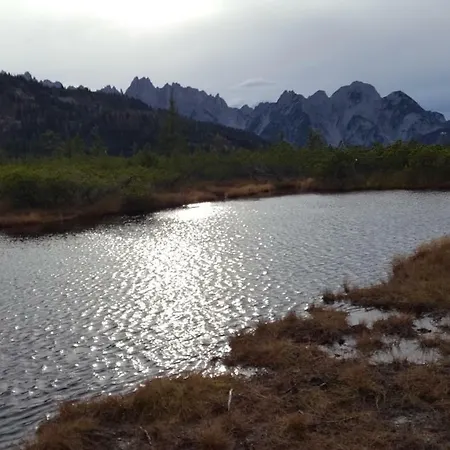 Edelweiss Wimmer 格绍