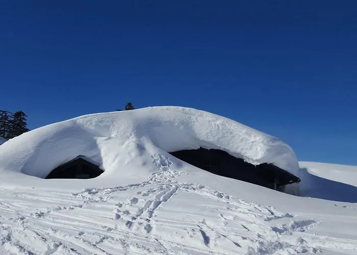 Διαμέρισμα Edelweiss Wimmer *